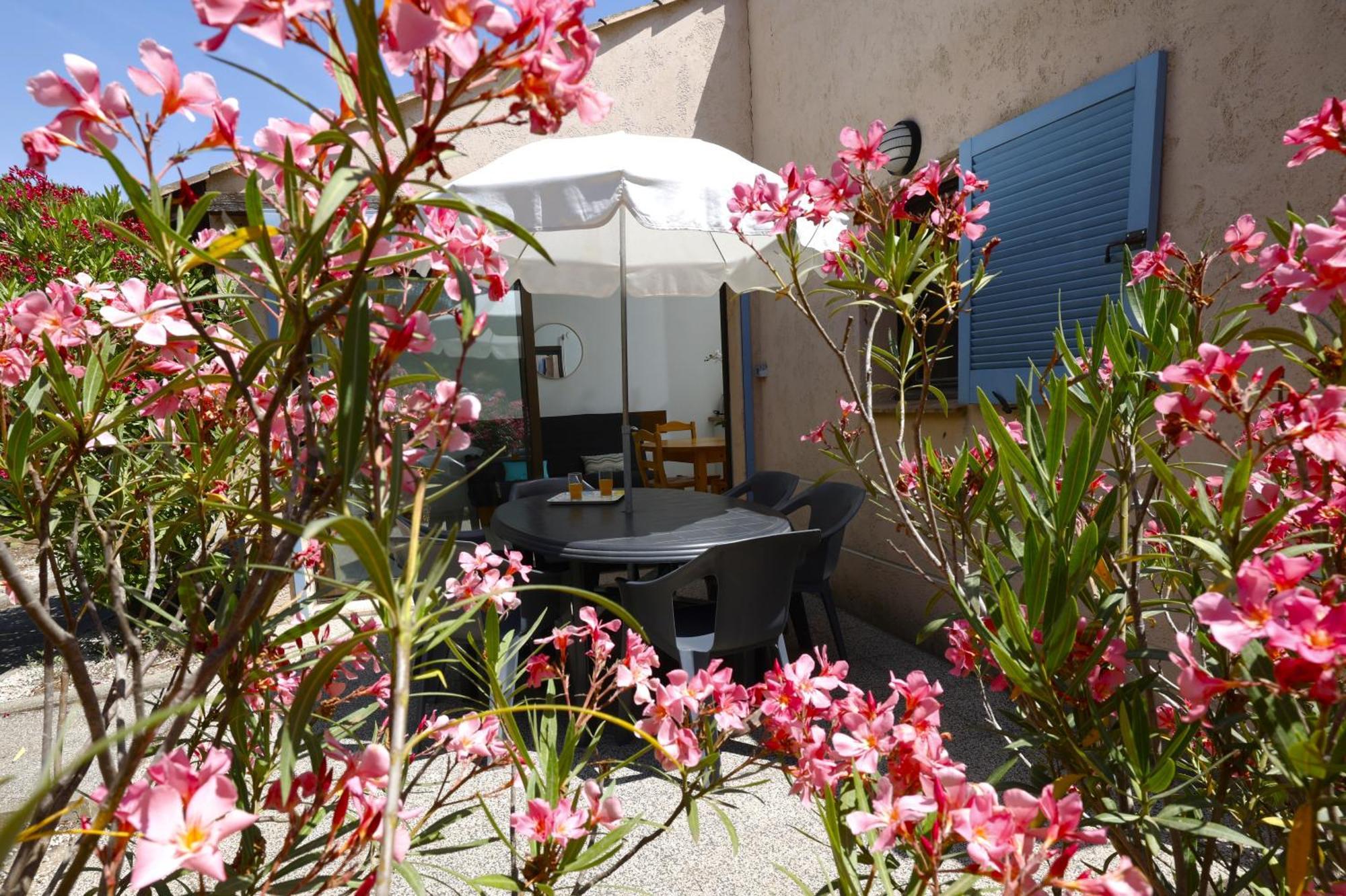 Village Vacances De Ramatuelle - Le Sentier Des Pins Exteriör bild