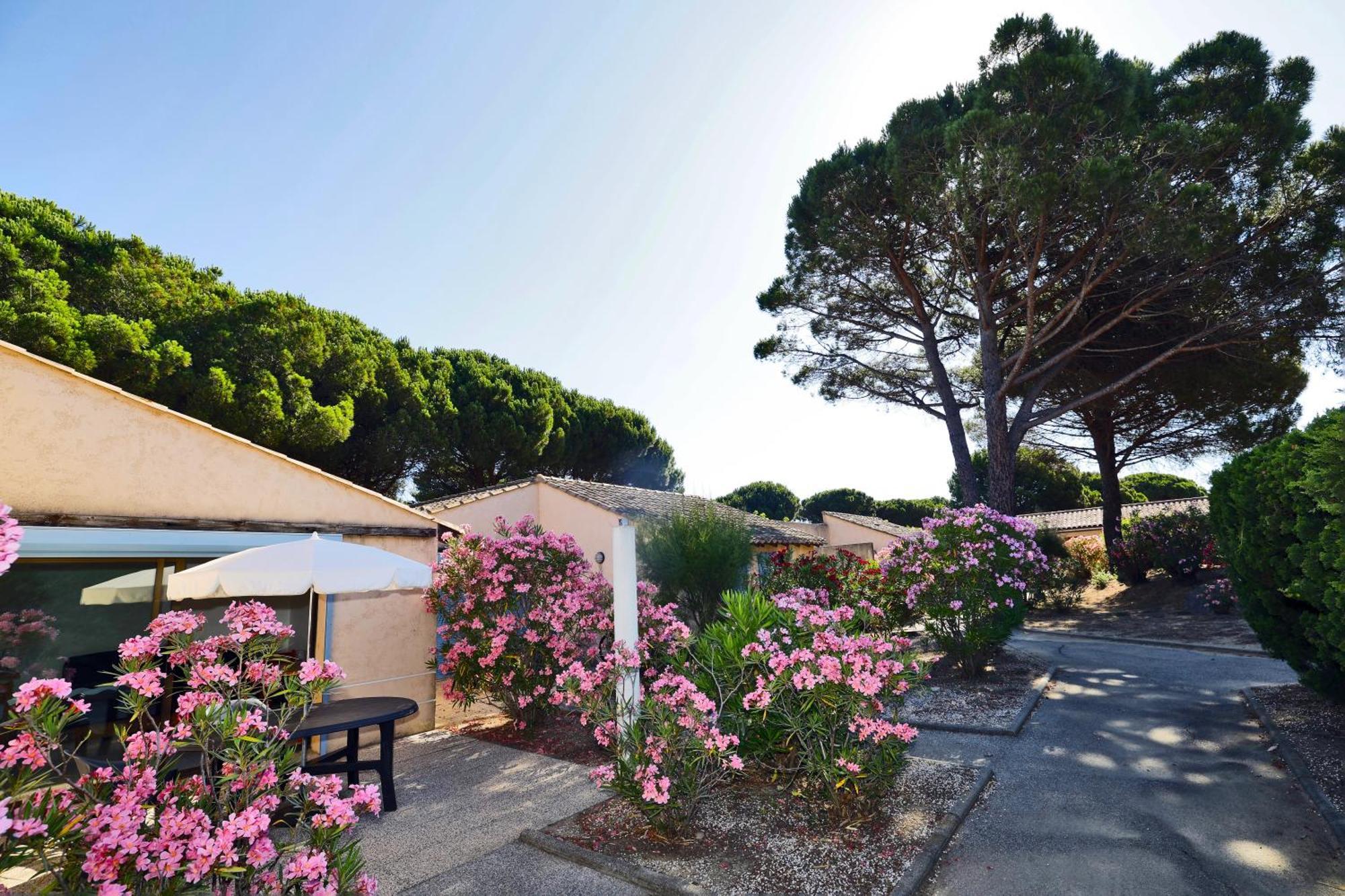 Village Vacances De Ramatuelle - Le Sentier Des Pins Exteriör bild