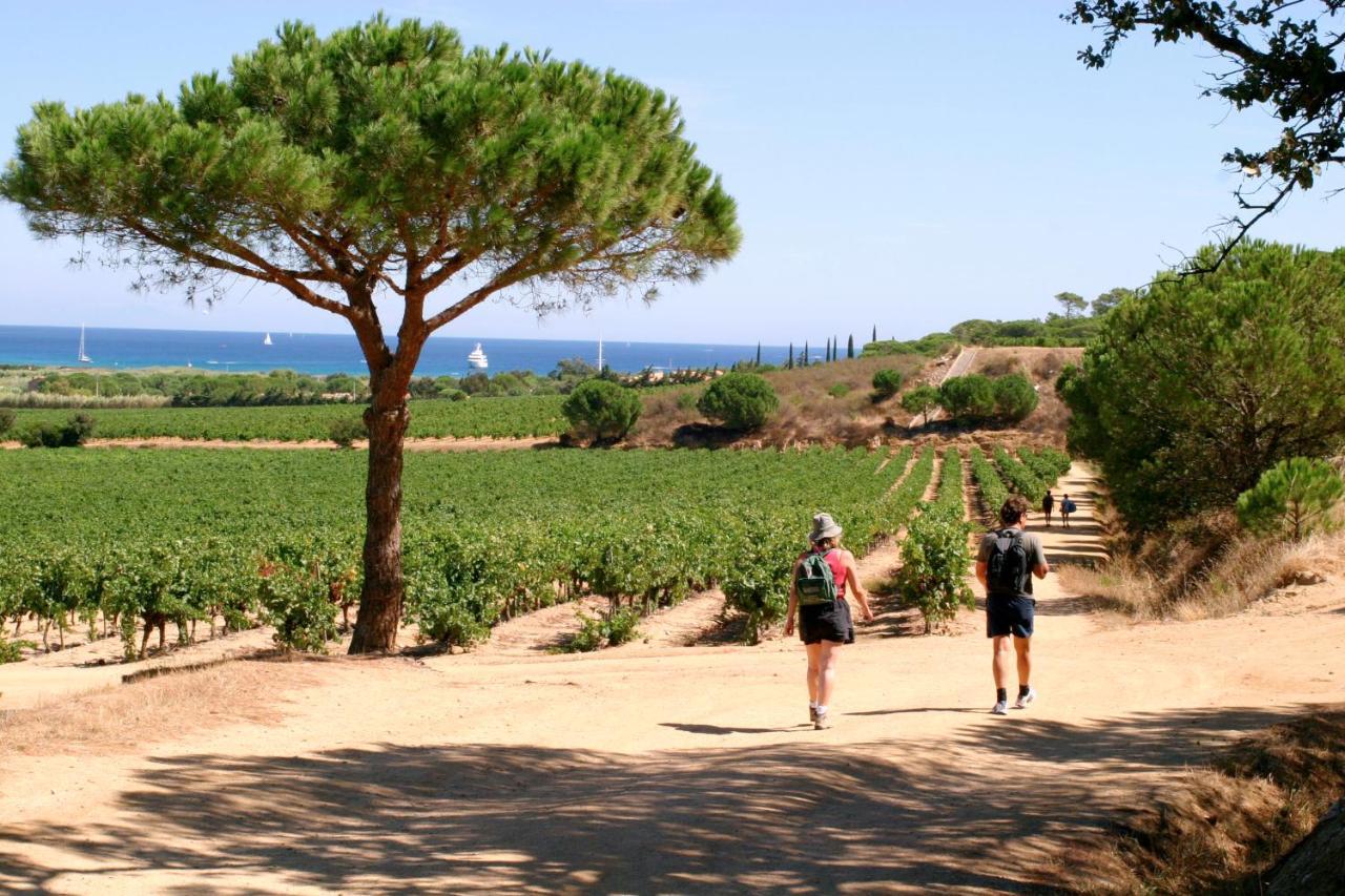 Village Vacances De Ramatuelle - Le Sentier Des Pins Exteriör bild