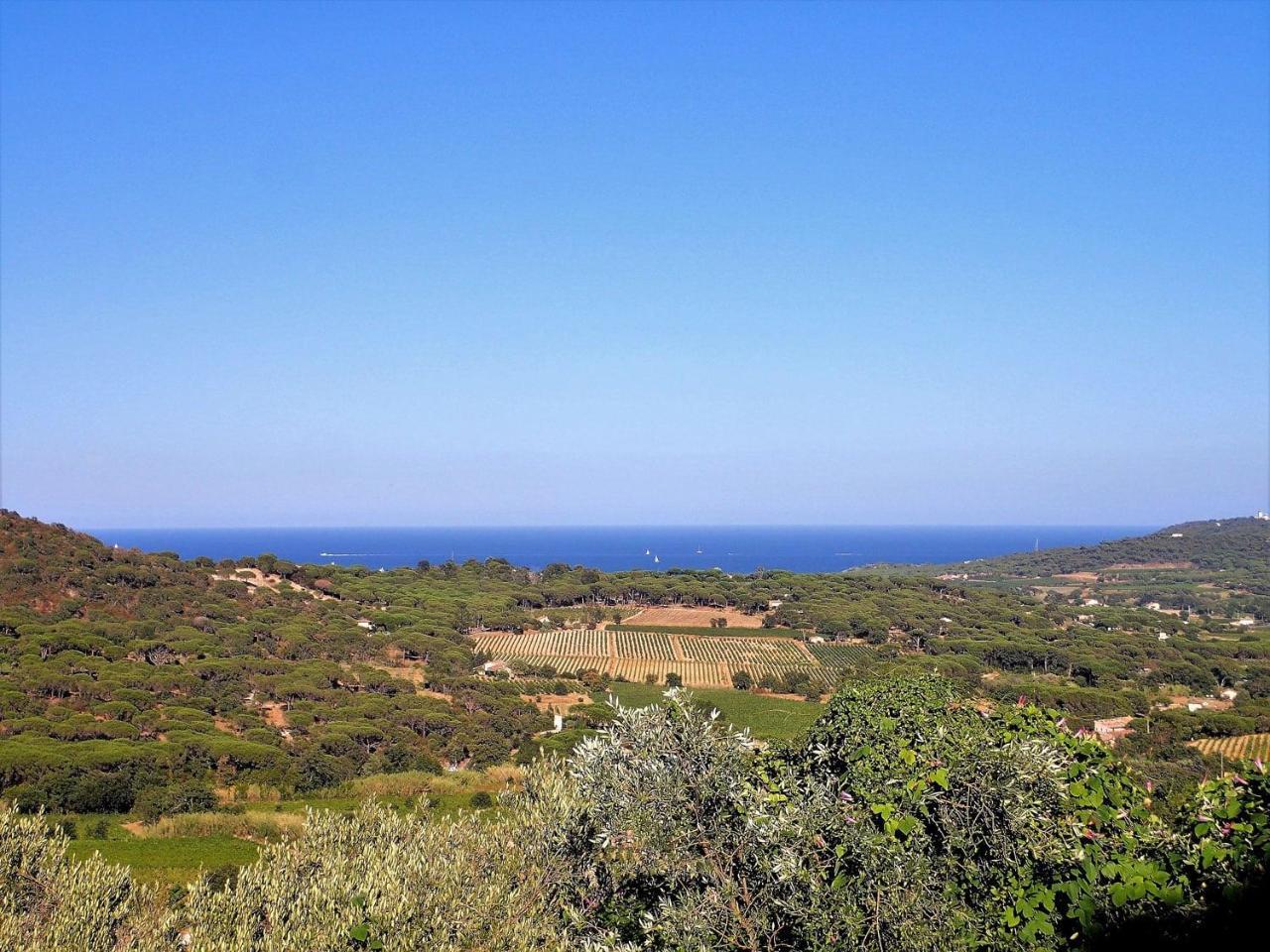 Village Vacances De Ramatuelle - Le Sentier Des Pins Exteriör bild